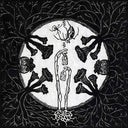 Magic Tuber Stringband - Tarantism [Vinyl]
