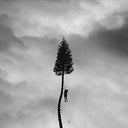 Manchester Orchestra - A Black Mile To The Surface (Digital Download Card) (2 Lp's) |