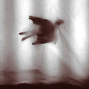 MARC OSTERMEIER - Tiny Birds |