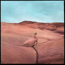 Strays (Limited Edition, Purple Swirl Colored Vinyl, Bonus Flexi-7" Single) [Vinyl]