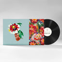 Kingdoms in Colour [Vinyl]