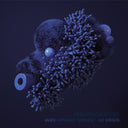 MARK-HENNING SARGENT - No Origin |