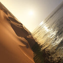 Under The Sun [CD]