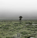 MARKUS WORMSTORM - Figure In Field [Vinyl]