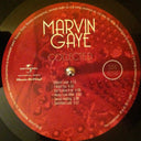 Marvin Gaye - Collected (2xVINYL) | Mint (M) Mint (M)