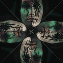Holography [Vinyl]