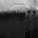 MATTHEW SHIPP TRIO - The Unidentifiable |