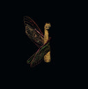 Maurice Louca - Saet El-Hazz (The Luck Hour) |
