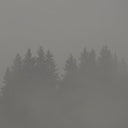 MAX LODERBAUER - Donnerwetter [Vinyl]