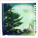 MAYUKO HINO - Lunisolar |