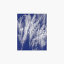 Merzbow - Scandal |