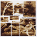 MERZBOW/GENESIS BREYER P-ORRIDGE - A Perfect Pain |