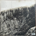 מזמור / MIZMOR - Mnemonic: Ambient Mosaic (VINYL) | Mint (M) Mint (M)