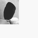 MICHALIS MOSCHOUTIS - Classical Mechanics |