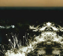 MICHEL FABER & ANDREW LILES - Ohrwurm |