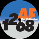 Nikol (9) - The Wellington EP (VINYL) | Mint (M) Generic