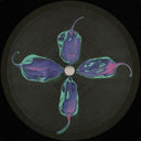 Pily - No Bodies EP (VINYL) | Mint (M) Mint (M)