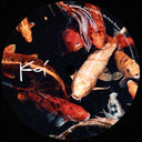 Raveld - Drifting Voices | Mint (M) Generic