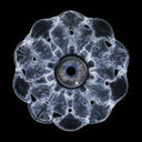 Hypnotizin EP (VINYL) | Mint (M) Mint (M)