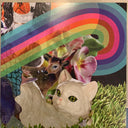 Modest Mouse - The Golden Casket | Mint (M) Mint (M)