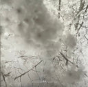 Modest Mouse - The Moon & Antarctica | Mint (M) Mint (M)