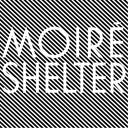 Shelter | Mint (M) Mint (M)