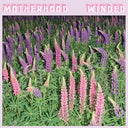 Winded [CD]