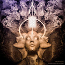 MR. BISON - Echoes From The Universe |
