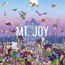 Mt. Joy - Rearrange Us | Mint (M) Mint (M)