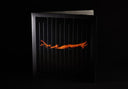 The Alias Sessions (3xVINYL) | Mint (M) Mint (M)