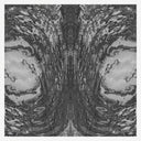 The Capsule [CD]