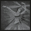 Neutral Milk Hotel - The Collected Works Of Neutral Milk Hotel (BOXSET) | Mint (M) Mint (M)