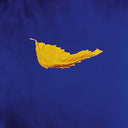 New Order - True Faith (2023 Remaster) (Vinyl) | Mint (M) Mint (M)