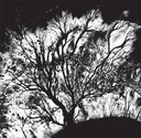 Dead Can Dance - The Serpent's Egg | Mint (M) Mint (M)