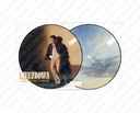 Niall Horan - Meltdown (Picture Disc Vinyl) [Import] (7" Single) [Vinyl]