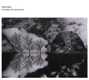 NICK MOTT - Here Begins the Great Destroyer |