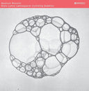 NIELS LYHNE LOKKEGAARD & QUATUOR BOZZINI - Colliding Bubbles |