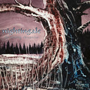 The Closing Chronicles (Re-Issue) (VINYL) | Mint (M) Mint (M)
