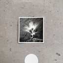 Empty [CD]