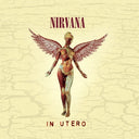 Nirvana - IN UTERO (20TH ANNIVERSARY EDITION)(CD) | Mint (M) Mint (M)