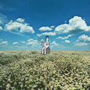 No Frills - Sad Clown |