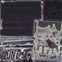 Nondi... [Vinyl]