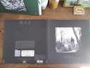 NTP - NTP (VINYL) | Mint (M) Mint (M)