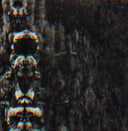 O MORTO - The Forest, The People And The Spirits |