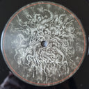 Bestial Hymns Of Perversion | Mint (M) Mint (M)