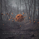 Accretion [CD]