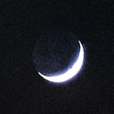 OISEAUX-TEMPETE - Tarab |
