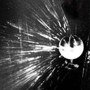 OISEAUX-TEMPETE - What On Earth (Que Diable) |