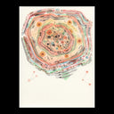 OLD MILLION EYE - Quartz Hive |