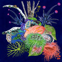 Touche [CD]